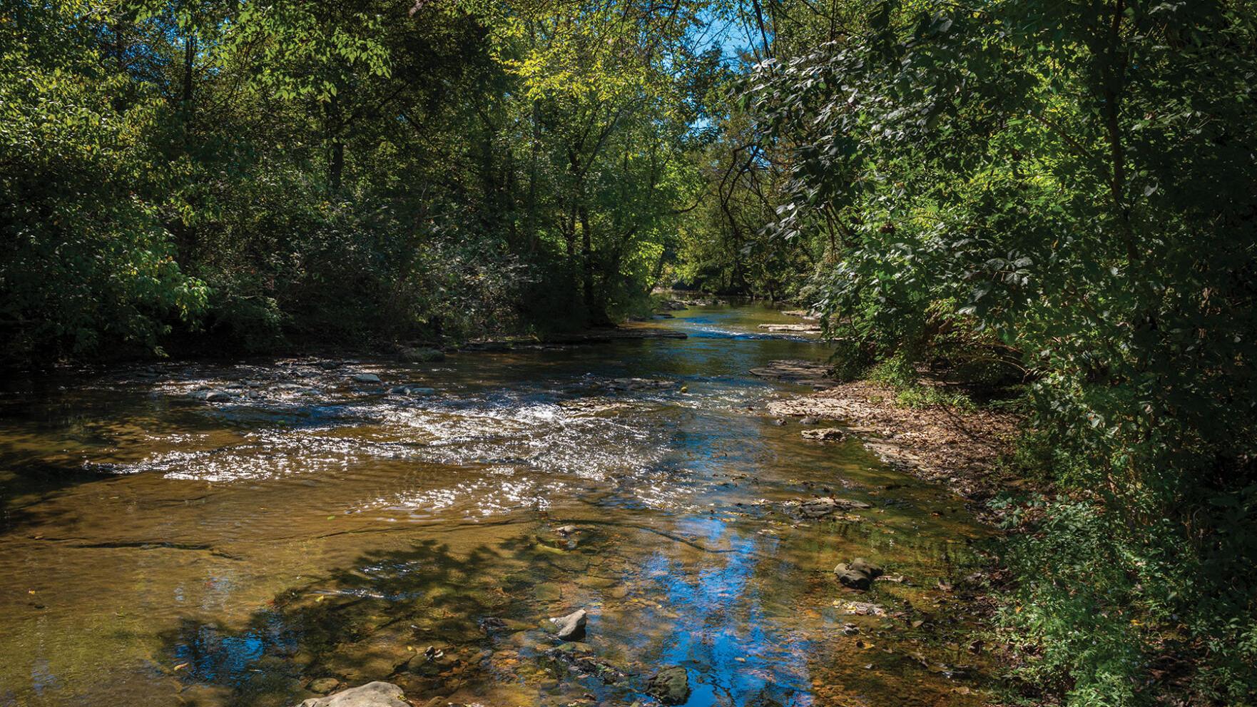 The Trails at Fontanel